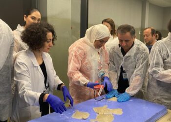 Amel Mzoughi Aldeek: the voice of sustainable Aquaculture