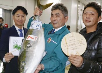 A record amberjack sells for $24,000 in Japan