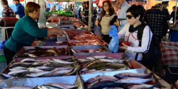How Malta Is Building a Culture of Sustainable Fish Consumption
