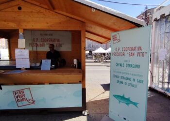 When the sea changes, so does the menu: Fish Very Good in Trieste, Italy