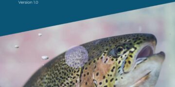 A new practical framework for rainbow trout welfare in seawater aquaculture