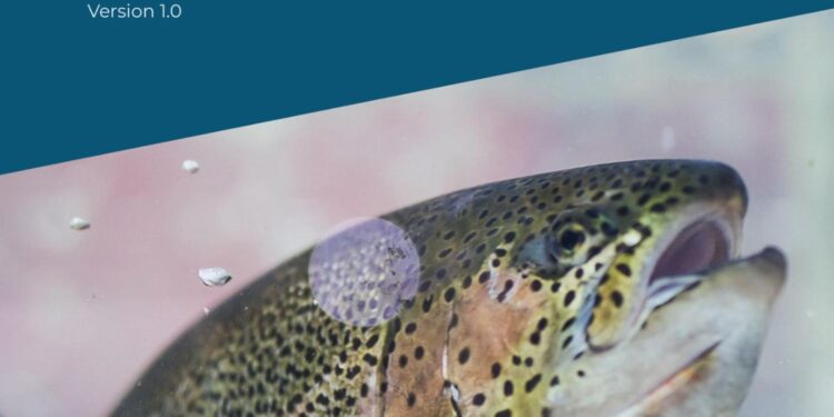 A new practical framework for rainbow trout welfare in seawater aquaculture
