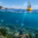 Connecting the Ocean: how WSense is building the underwater wireless internet