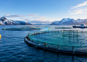 Beyond Oxygen: What happens when fish face Hypoxia?