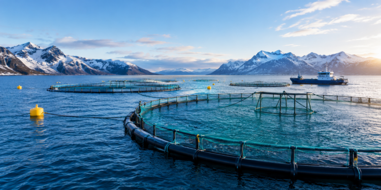 Beyond Oxygen: What happens when fish face Hypoxia?