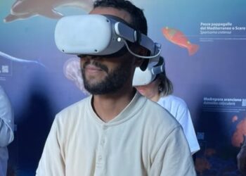From Sicily to Djerba: how AJEM Association is turning Mediterranean exchange into action