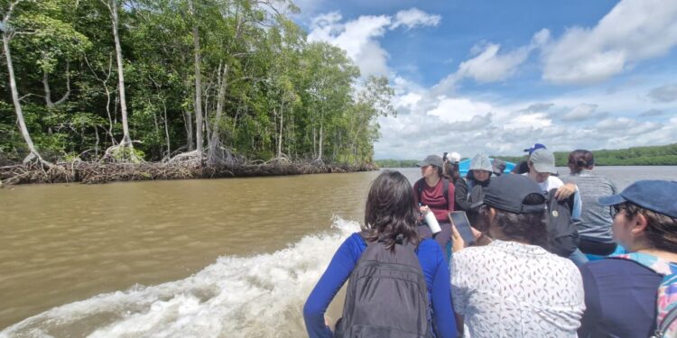 Blue Education Beyond the Classroom: A New Series | The University of El Salvador Experience