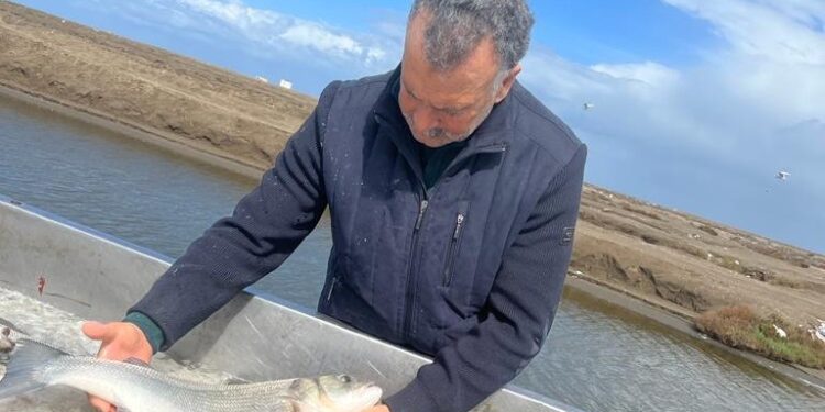 The Ghanem family’s journey from a small fish farm to a leading aquaculture business in the Diba Triangle, Damietta, Egypt