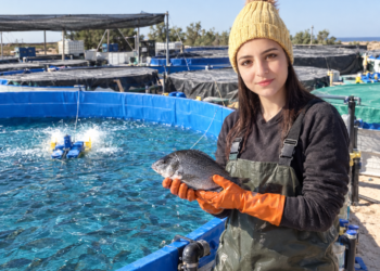 Basmatuk Agricultural Company: a Tunisian-Saudi journey in aquaculture