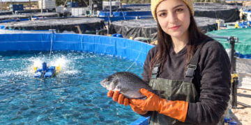 Basmatuk Agricultural Company: a Tunisian-Saudi journey in aquaculture