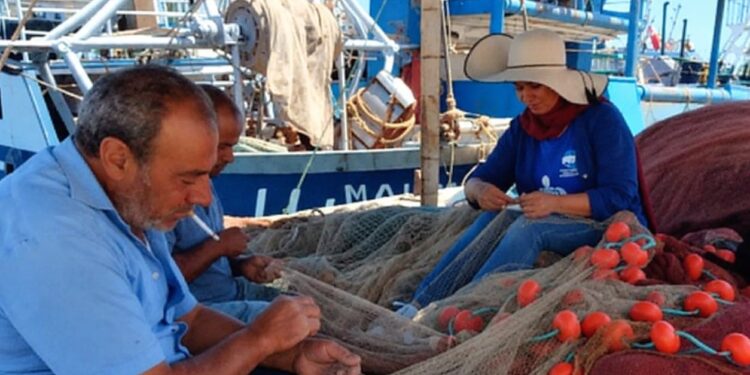 A Blue Life Hub Original Series: F. BEYOND THE SHORE – Female. Future. Fearless: She4Sea-Med